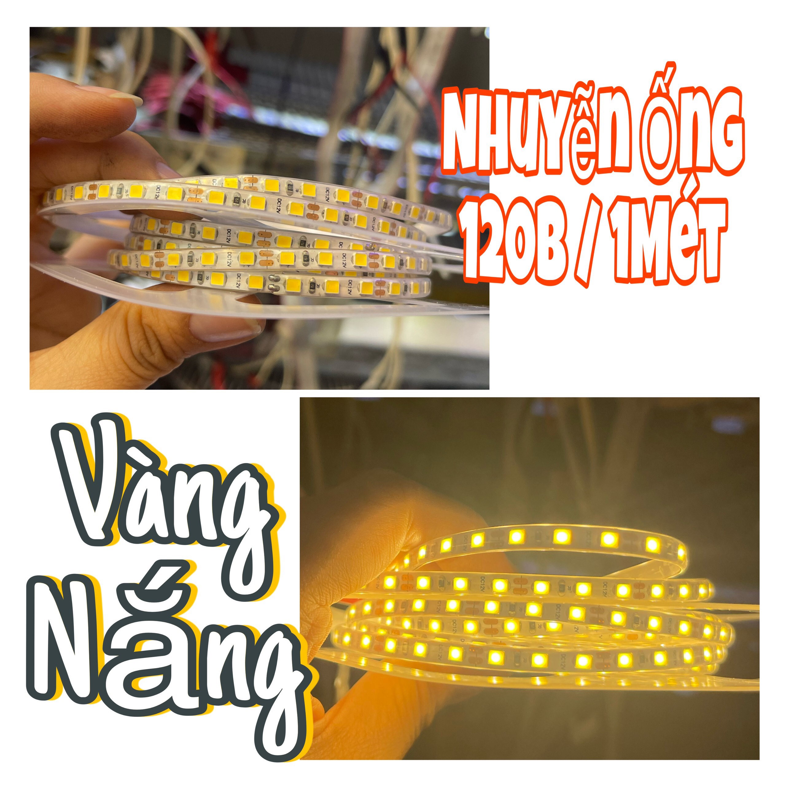 Led dây nhuyễn ống 120b/m 1c 5m